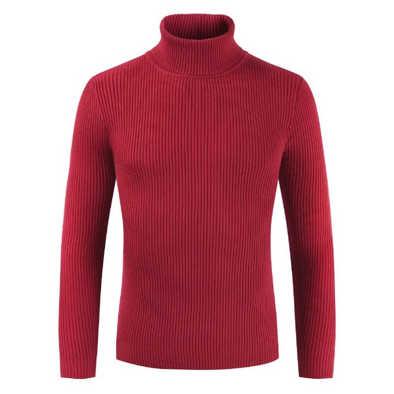 Striktrøjer Cardigans Herre Turtleneck Slim Pullover