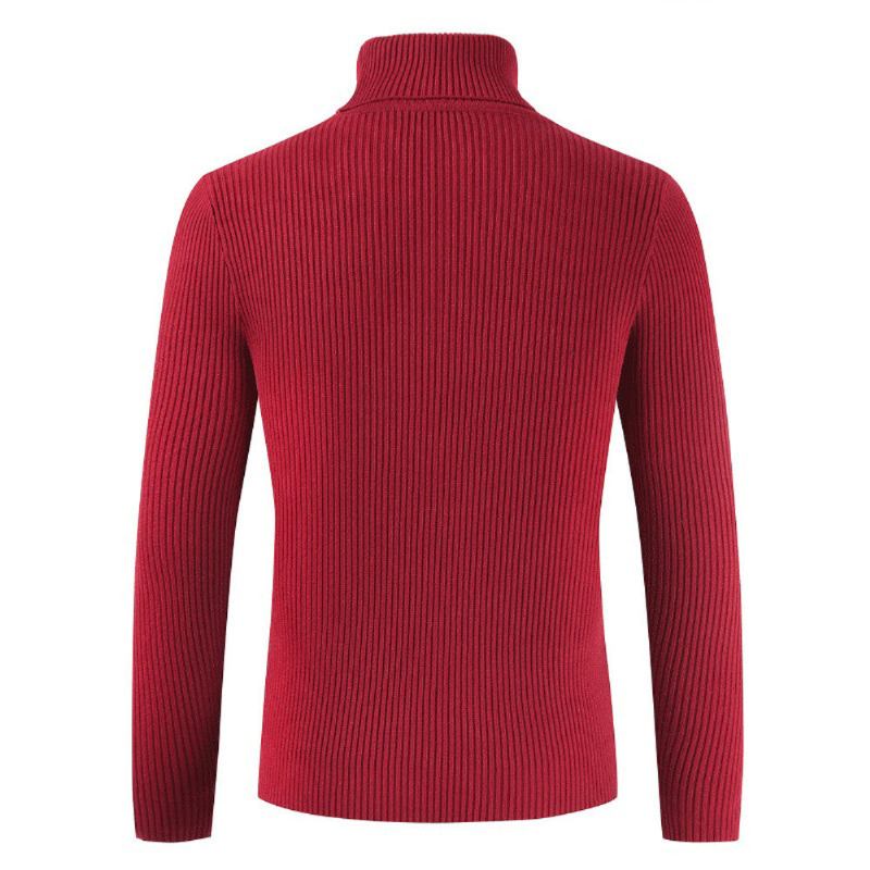 Striktrøjer Cardigans Herre Turtleneck Slim Pullover