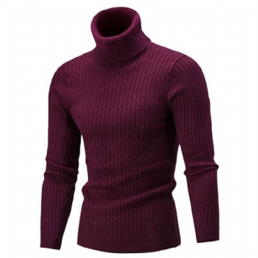 Trøjer Herre Solid Casual Sweater Med Rullekrave